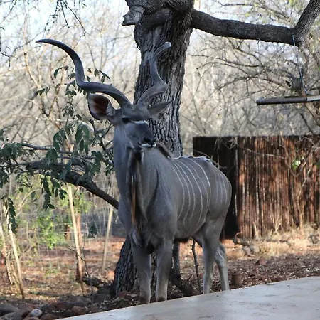 Villa Zazu Marloth Park Exterior photo