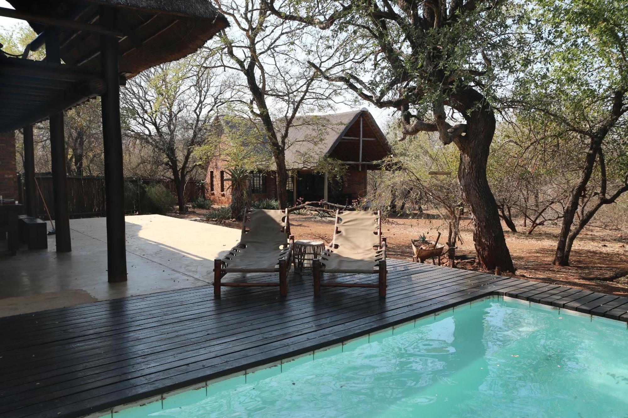 Zazu * Marloth Park