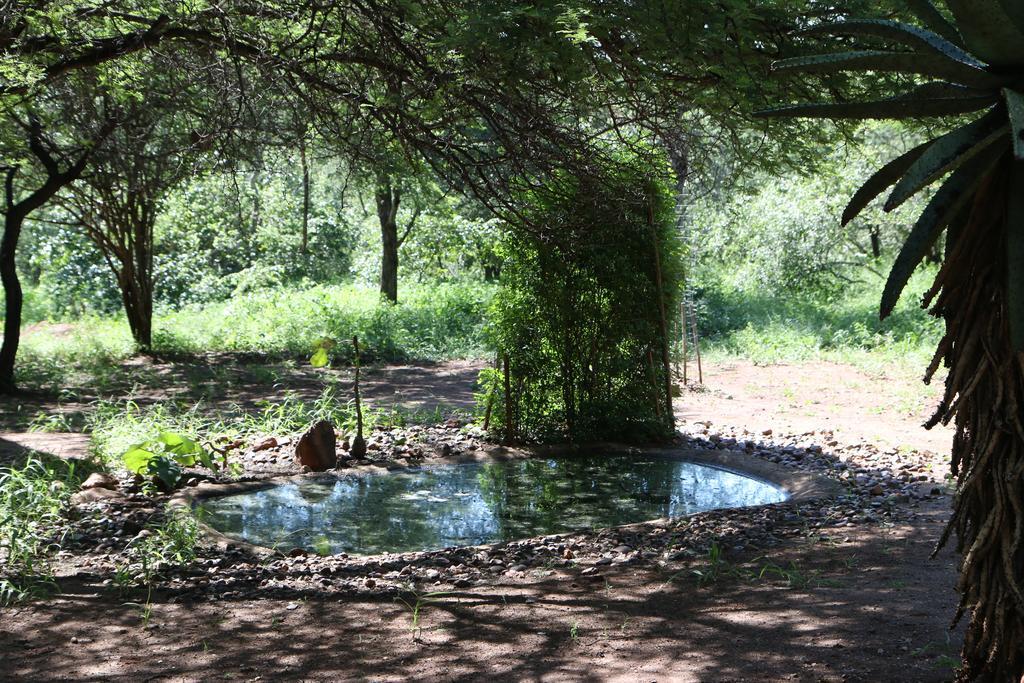 Villa Zazu Marloth Park