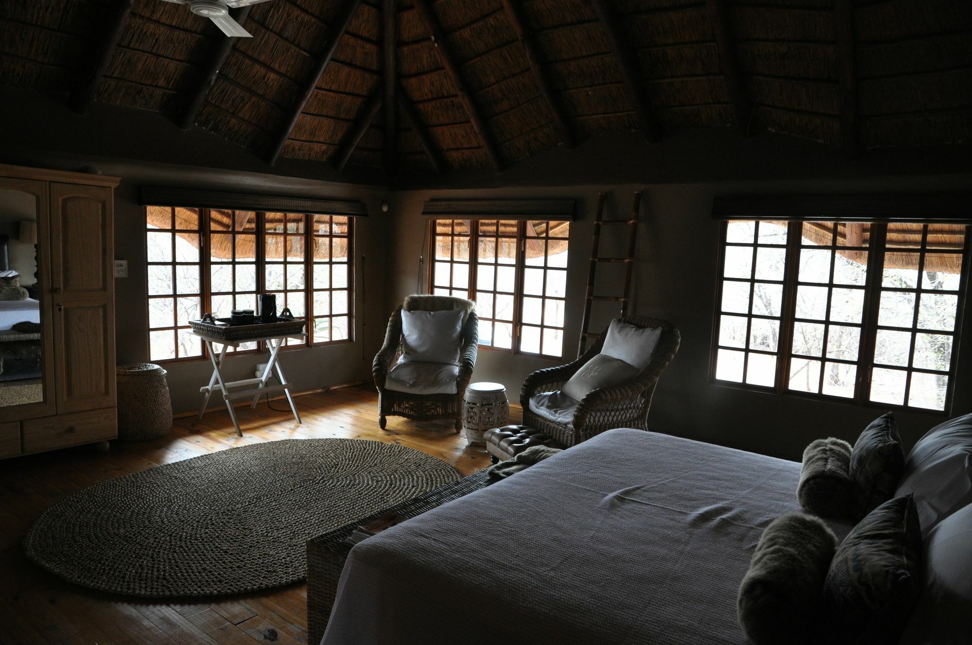 Zazu * Marloth Park