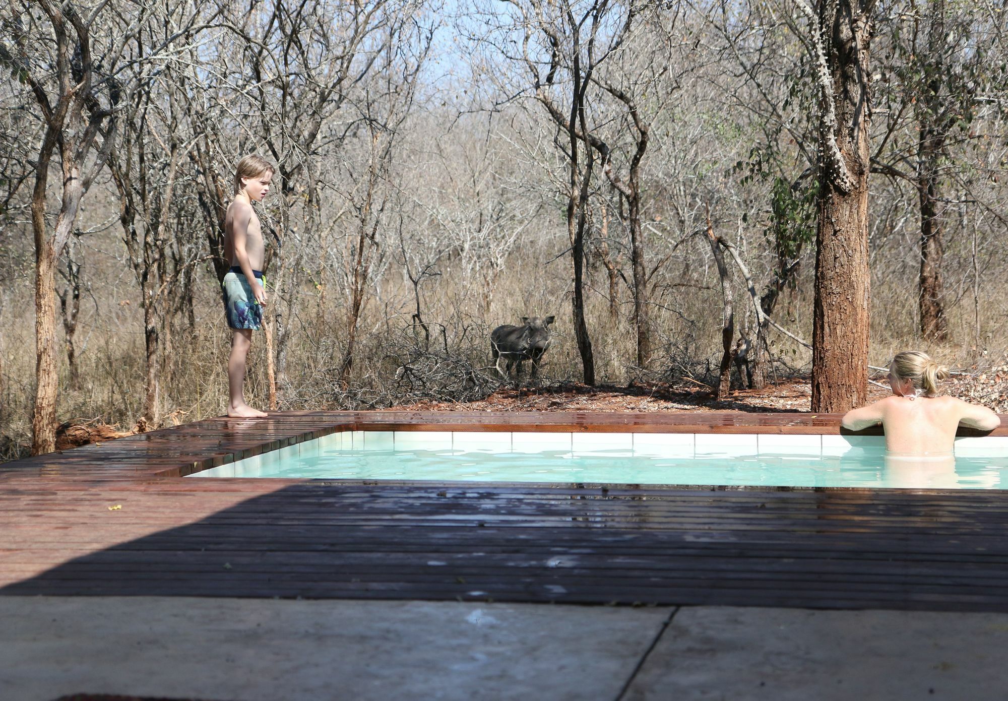 Zazu * Marloth Park