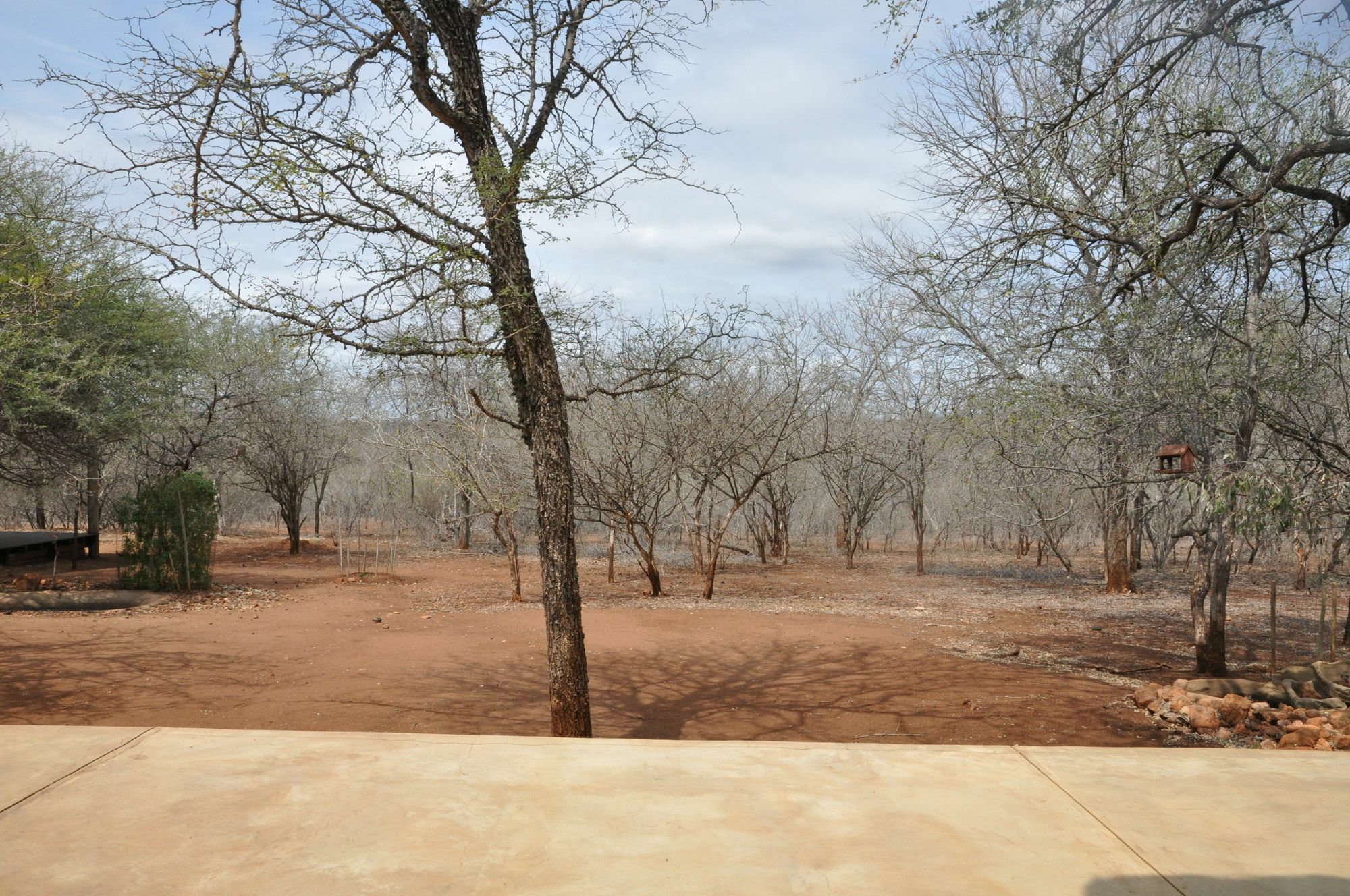 Villa Zazu Marloth Park