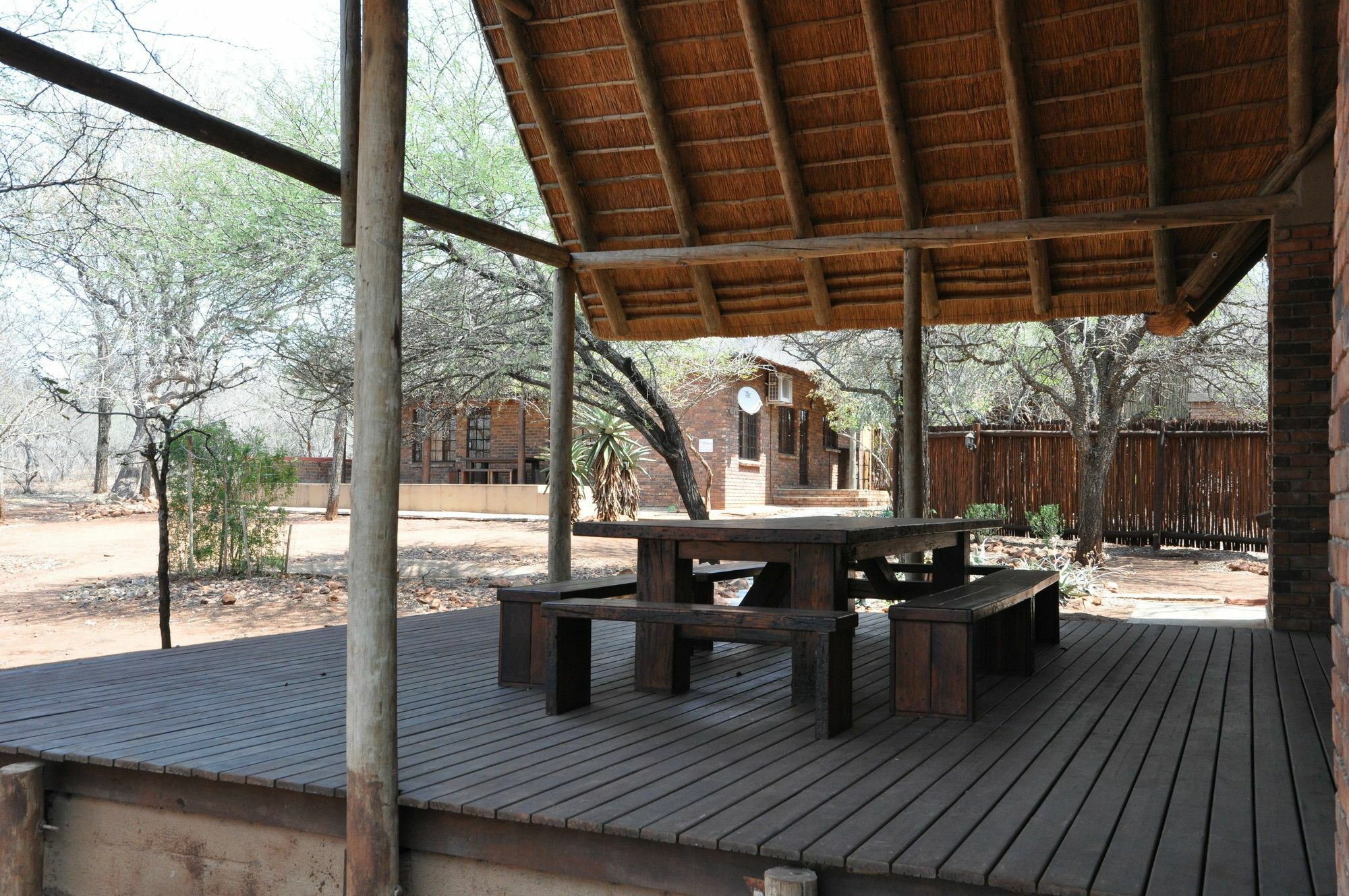 Zazu * Marloth Park
